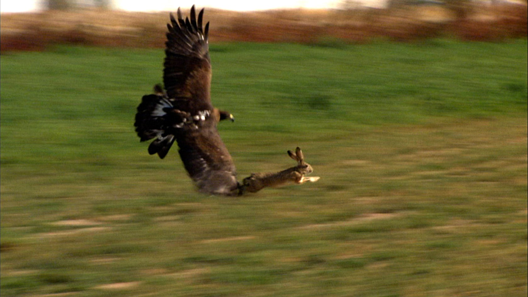 Moment_of_Impact_image