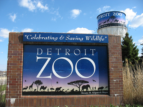 detroitzoo