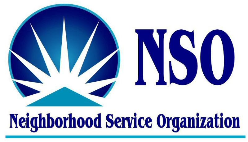E-NSO-logo