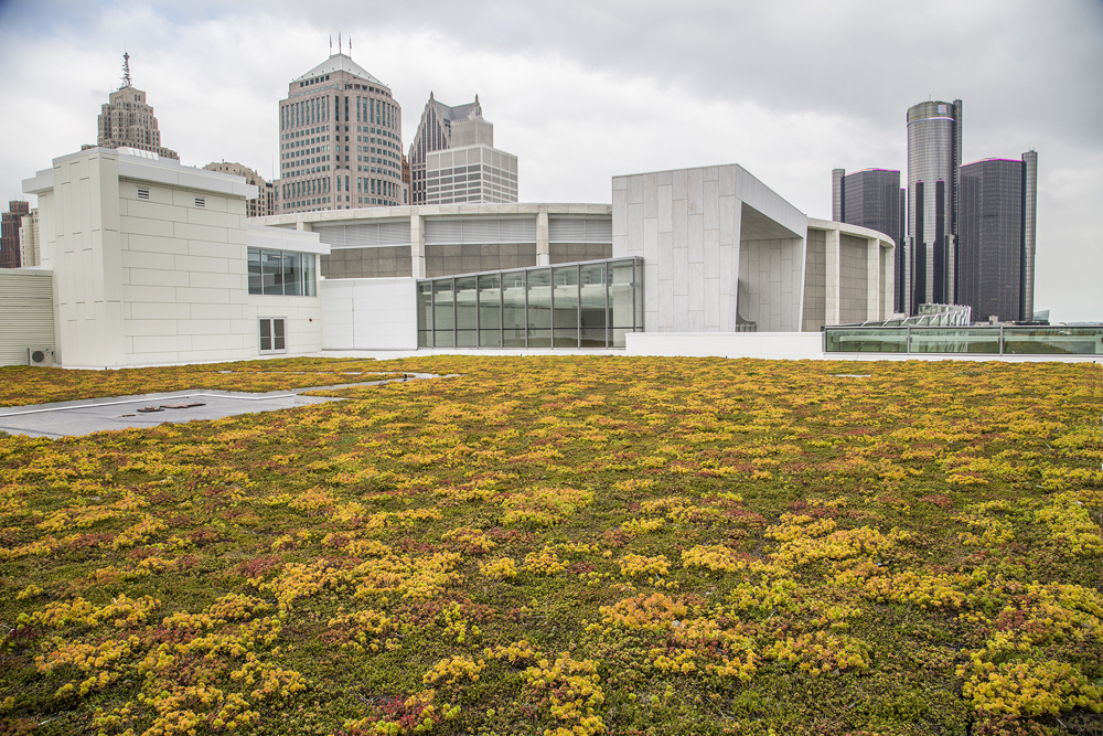 Cobo Center Living Green Roof