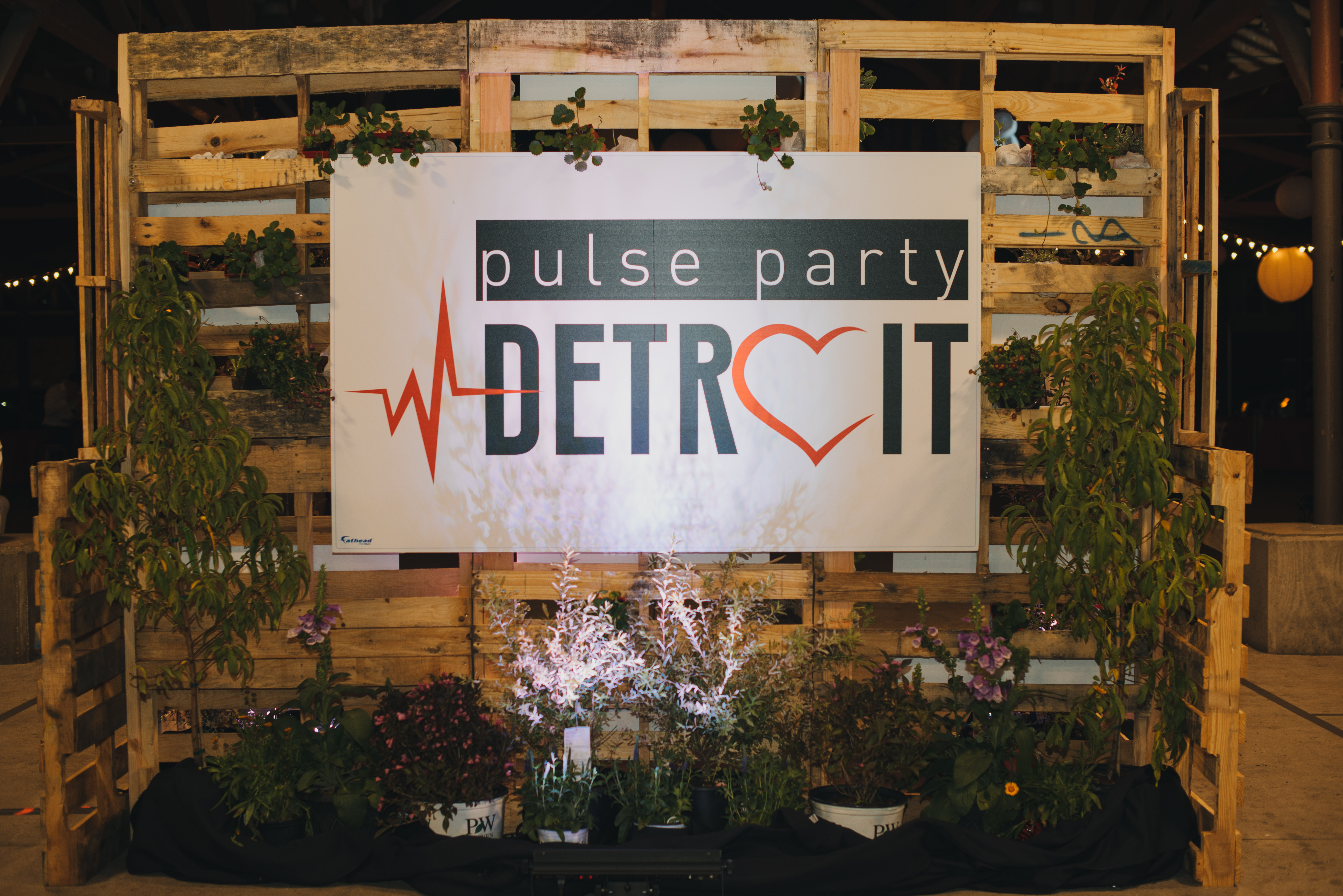 Heart Ball 2015 (540)