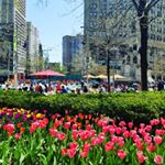 Sunny day in the D Detroit spring downtown SunnyDcampusmartius