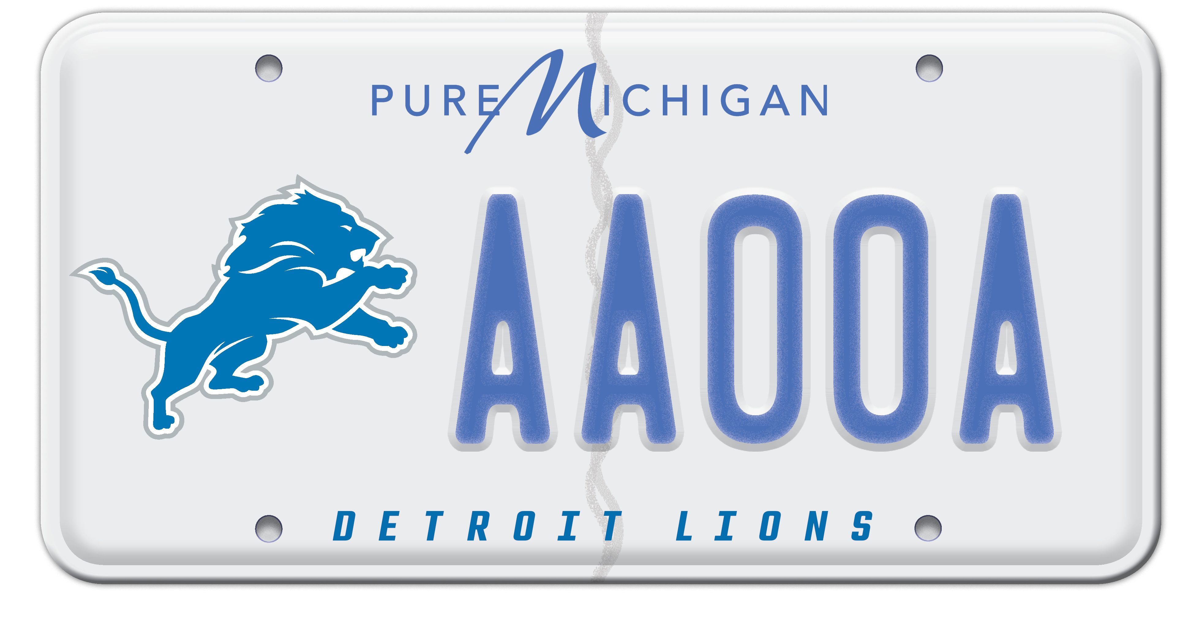 Detroit Lions Raised Lettering White Plastic (Set of 2) License