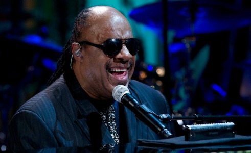 stevie.jpg.jpg