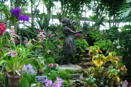 images_Temperence_Fountain_with_Orchids Temperence_Fountain_with_Orchids.jpg