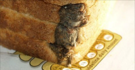 regularmouse