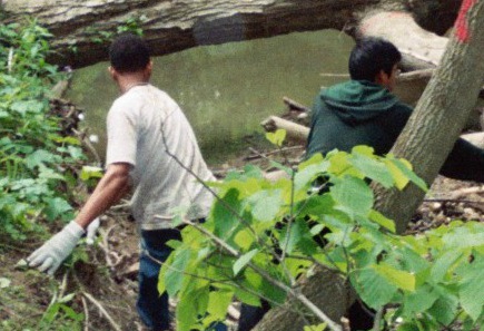 Rouge River Clean Up Photo