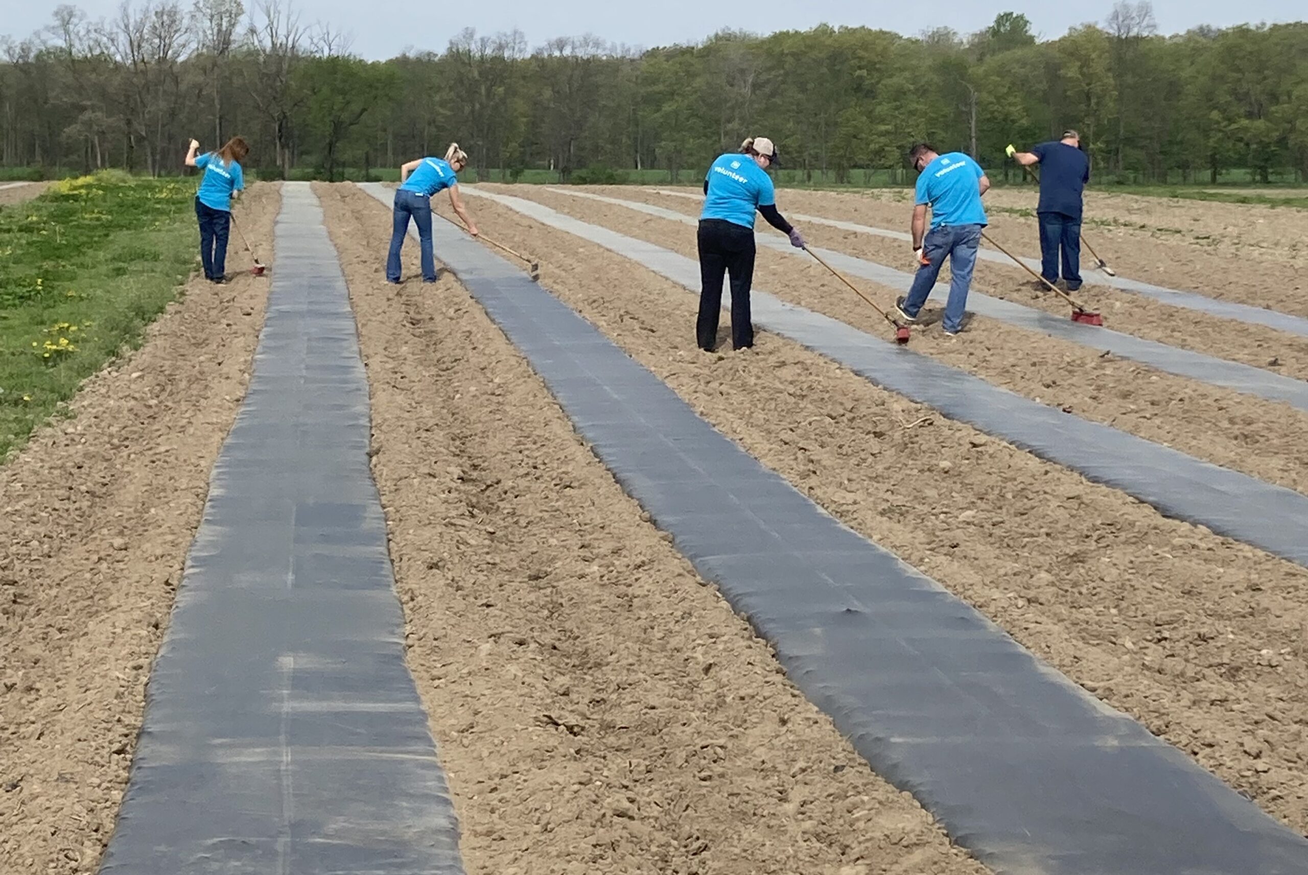 Forgotten Harvest Farms’ 2024 Season Opens to Volunteers on May 1st 