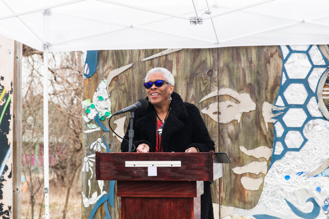 Robert Riley Michigan After 25 Years of Telling Detroit’s Story to the World, Rochelle Riley ...